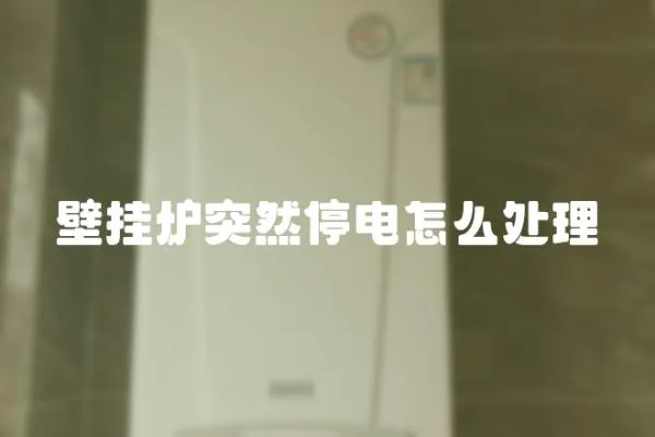 壁掛爐突然停電怎么處理