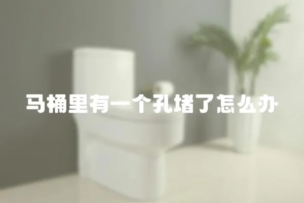 馬桶里有一個孔堵了怎么辦