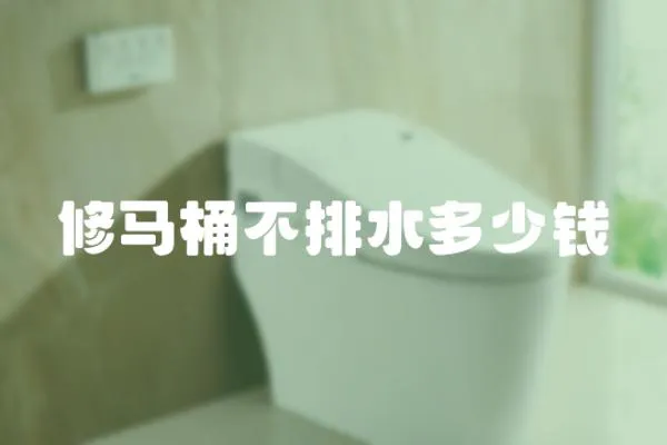 修馬桶不排水多少錢