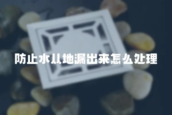 防止水從地漏出來怎么處理