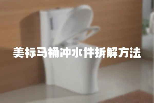 美標馬桶沖水件拆解方法
