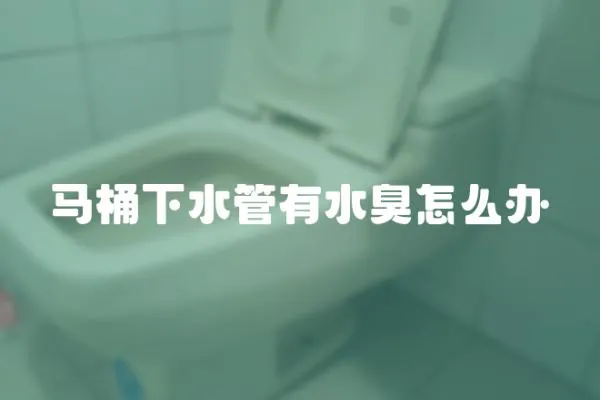 馬桶下水管有水臭怎么辦