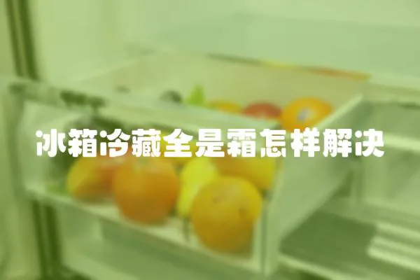 冰箱冷藏全是霜怎樣解決