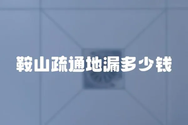 鞍山疏通地漏多少錢