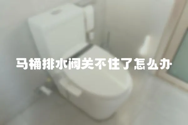 馬桶排水閥關不住了怎么辦