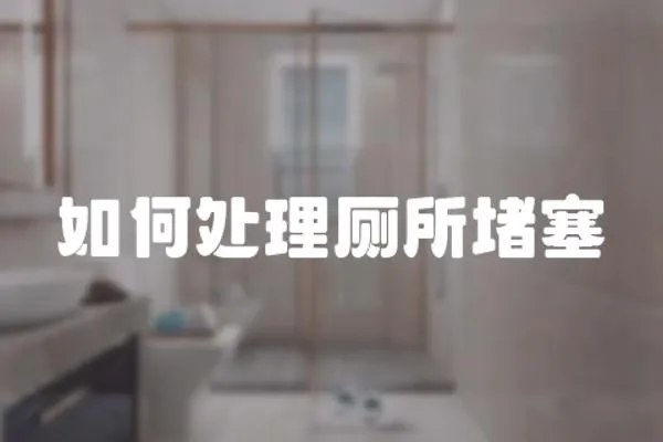 如何處理廁所堵塞