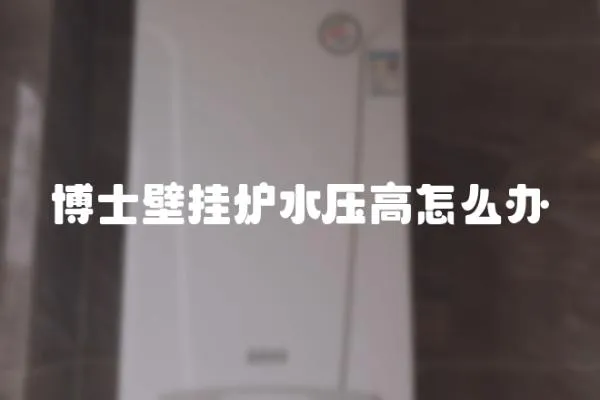 博士壁掛爐水壓高怎么辦