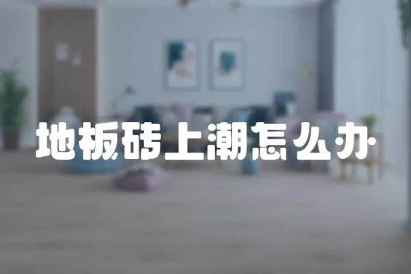 地板磚上潮怎么辦