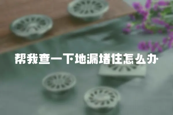 幫我查一下地漏堵住怎么辦