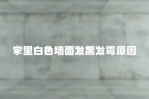 家里白色墻面發黑發霉原因