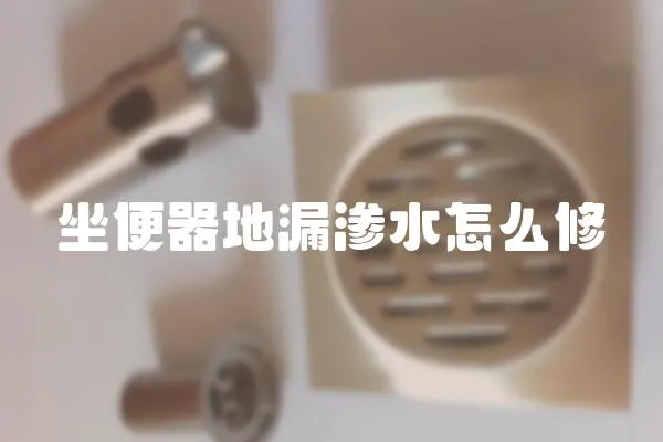 坐便器地漏滲水怎么修