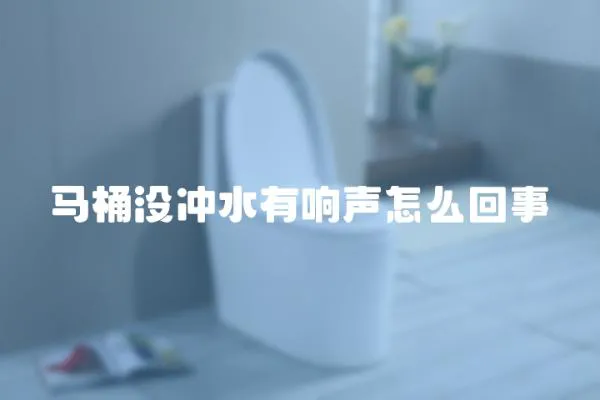 馬桶沒沖水有響聲怎么回事