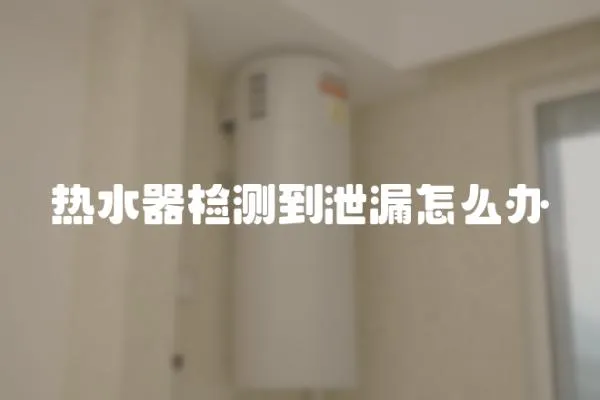 熱水器檢測到泄漏怎么辦