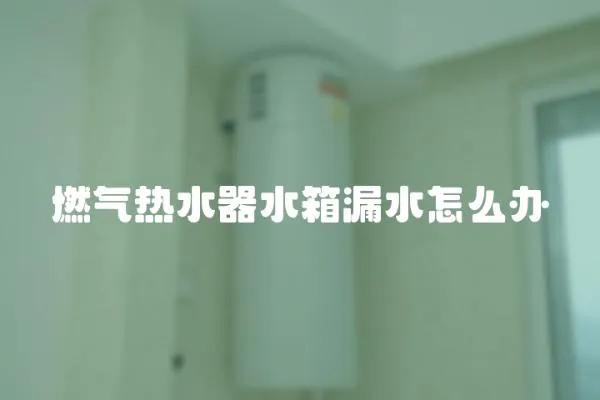 燃气热水器水箱漏水怎么办