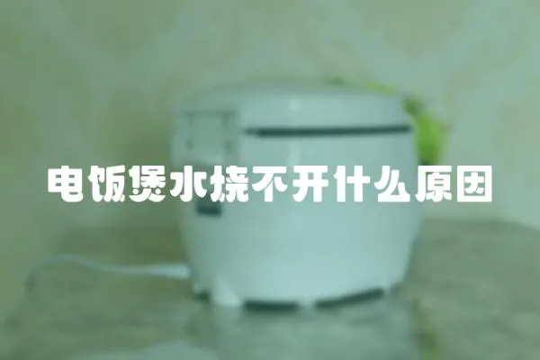 電飯煲水燒不開什么原因