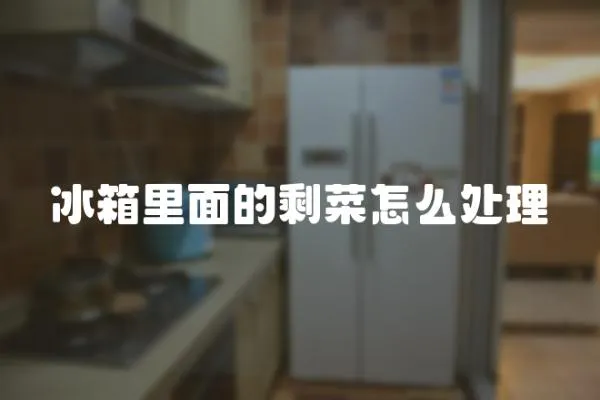 冰箱里面的剩菜怎么處理