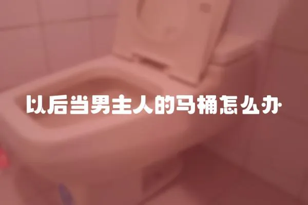 以后当男主人的马桶怎么办