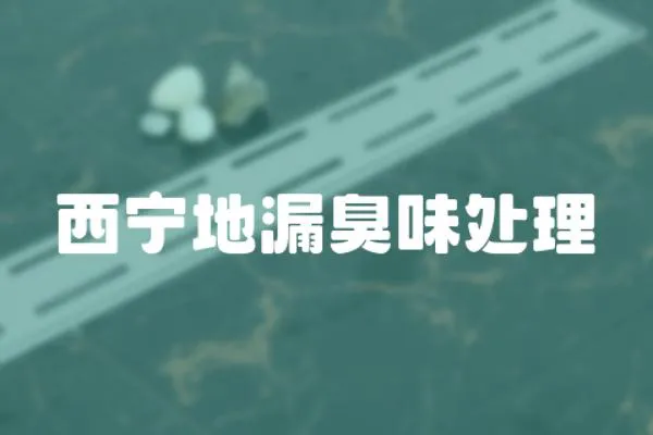 西寧地漏臭味處理