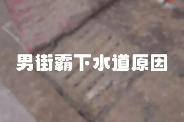 男街霸下水道原因