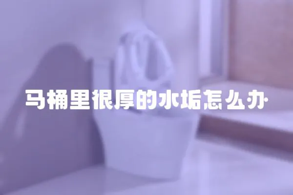 馬桶里很厚的水垢怎么辦