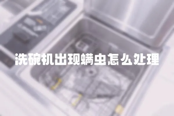 洗碗機出現螨蟲怎么處理