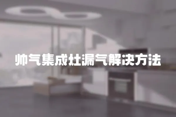 帥氣集成灶漏氣解決方法