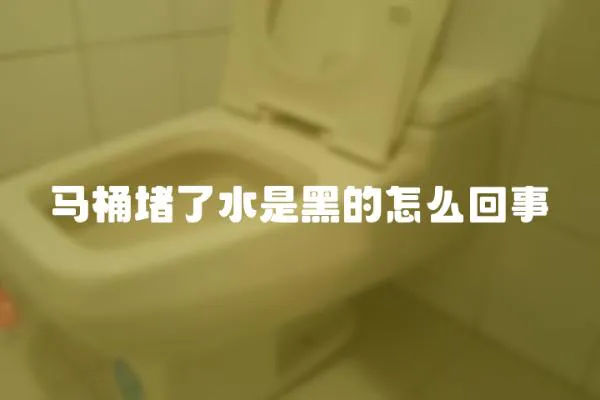 馬桶堵了水是黑的怎么回事