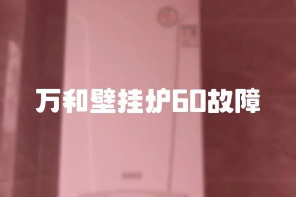 萬和壁掛爐60故障