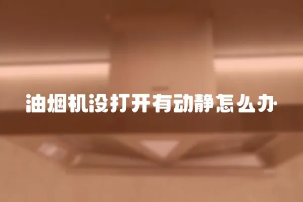 油煙機沒打開有動靜怎么辦