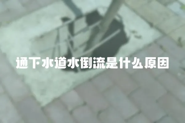 通下水道水倒流是什么原因