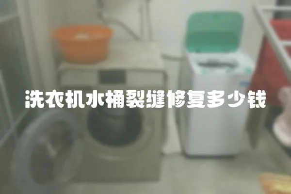 洗衣機水桶裂縫修復多少錢