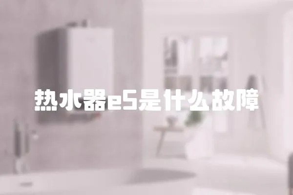 熱水器e5是什么故障