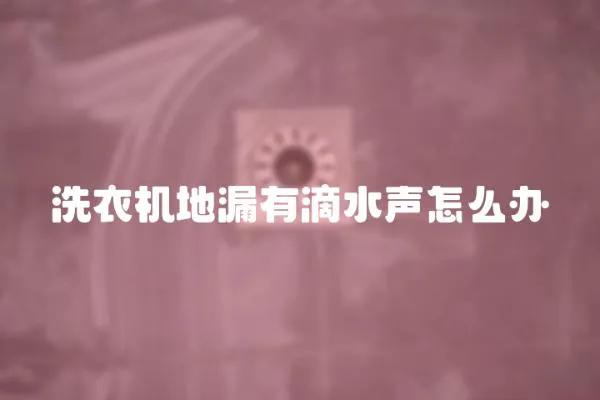 洗衣機地漏有滴水聲怎么辦