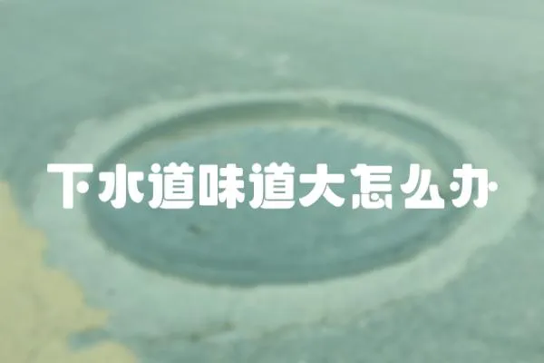 下水道味道大怎么辦