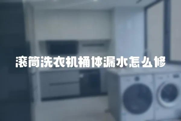 滾筒洗衣機桶體漏水怎么修