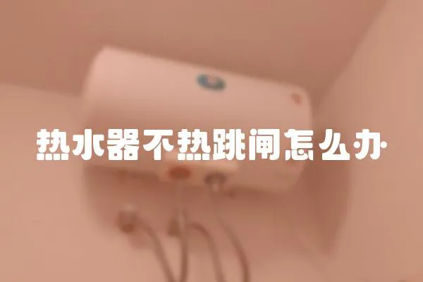 熱水器不熱跳閘怎么辦