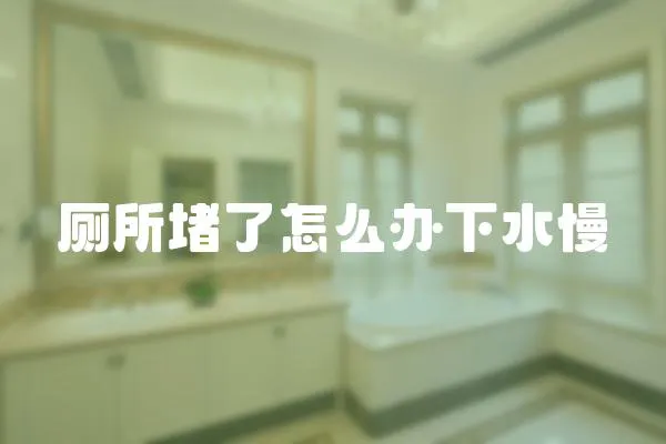 廁所堵了怎么辦下水慢