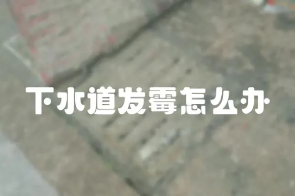 下水道發霉怎么辦