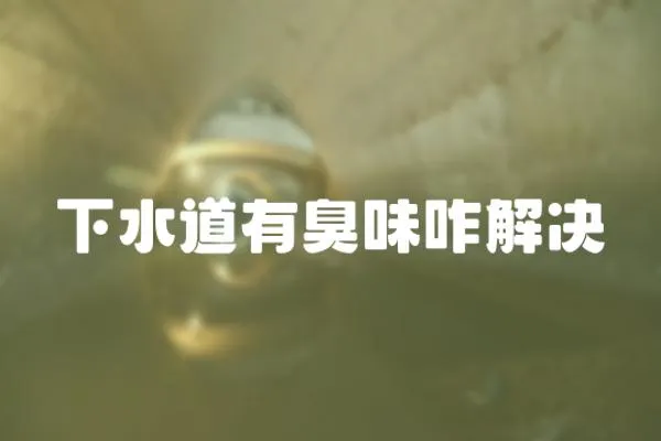 下水道有臭味咋解決