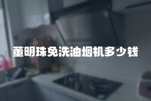 董明珠免洗油煙機(jī)多少錢(qián)