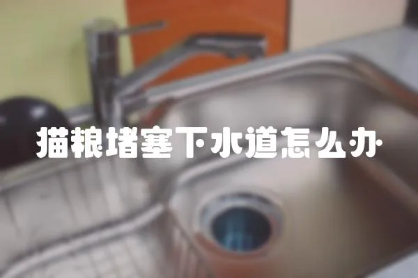 貓糧堵塞下水道怎么辦