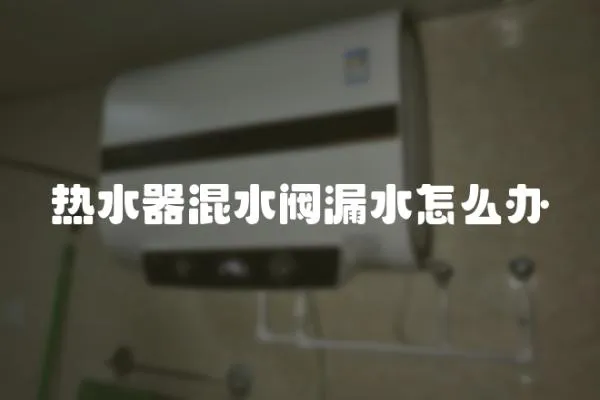 熱水器混水閥漏水怎么辦