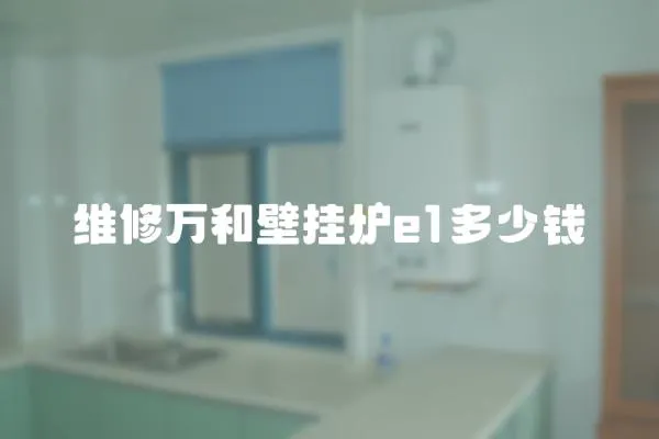 維修萬和壁掛爐e1多少錢