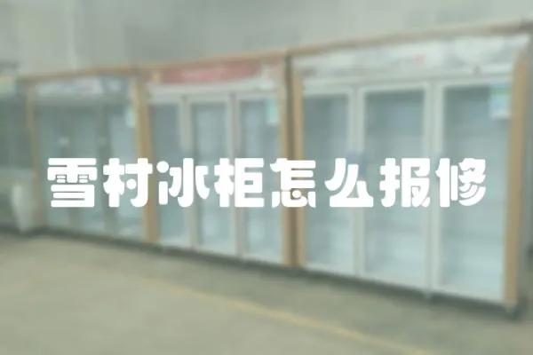 雪村冰柜怎么報修