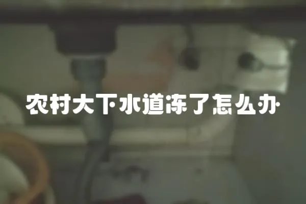 農村大下水道凍了怎么辦