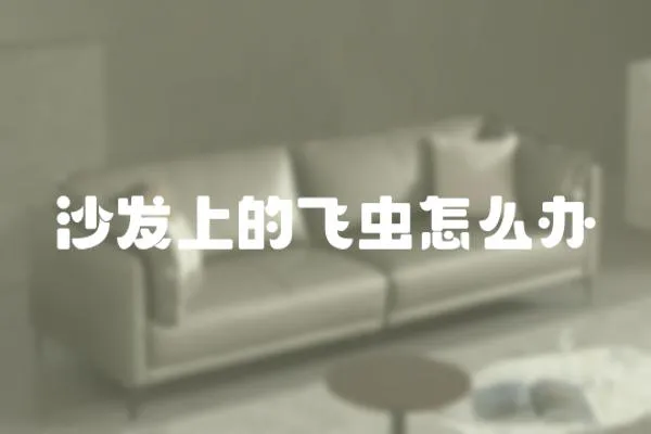 沙發上的飛蟲怎么辦