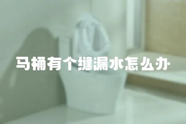 馬桶有個縫漏水怎么辦