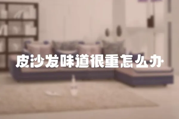 皮沙發味道很重怎么辦