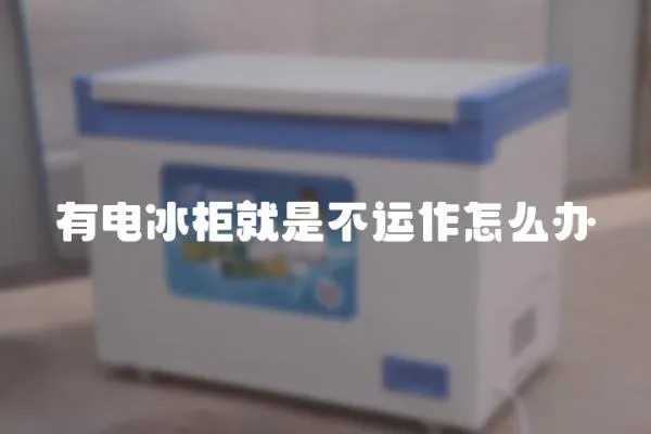 有電冰柜就是不運作怎么辦