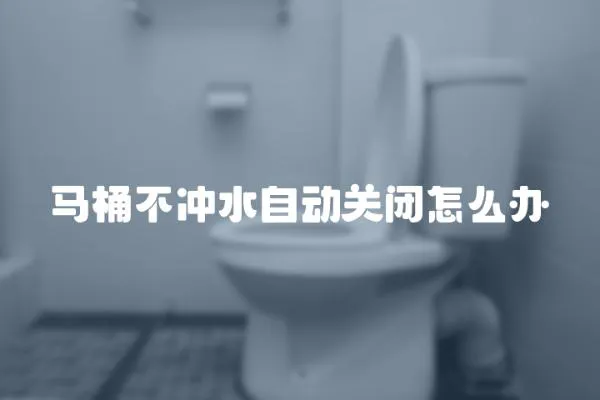 馬桶不沖水自動(dòng)關(guān)閉怎么辦